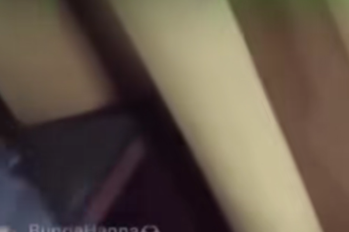 NO SENSOR! Video Asusila Diduga Kades di Balangan 7 Menit 30 Detik di Videy, Ternyata Isinya...