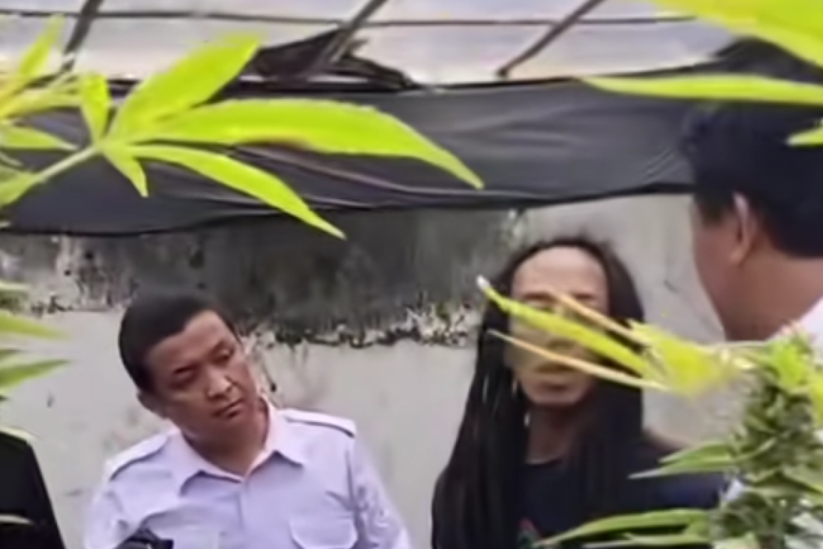 SOSOK Rama Petani Petani Ganja dengan Teknologi Greenhouse yang Gemparkan Warga Jombang, Ternyata Warga Surabaya 