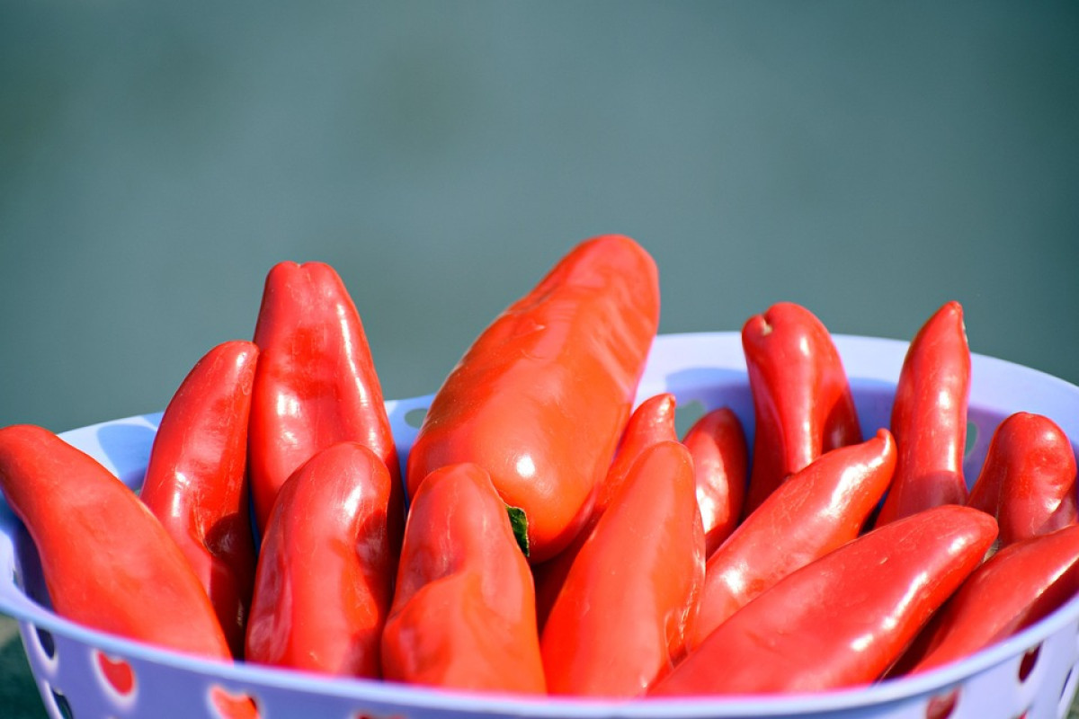 Harga Pangan Melambung: Cabai Rawit Merah Tembus Rp73.850 per Kg, Telur Ayam Ras Ikut Naik Jadi Rp33.000 per Kg