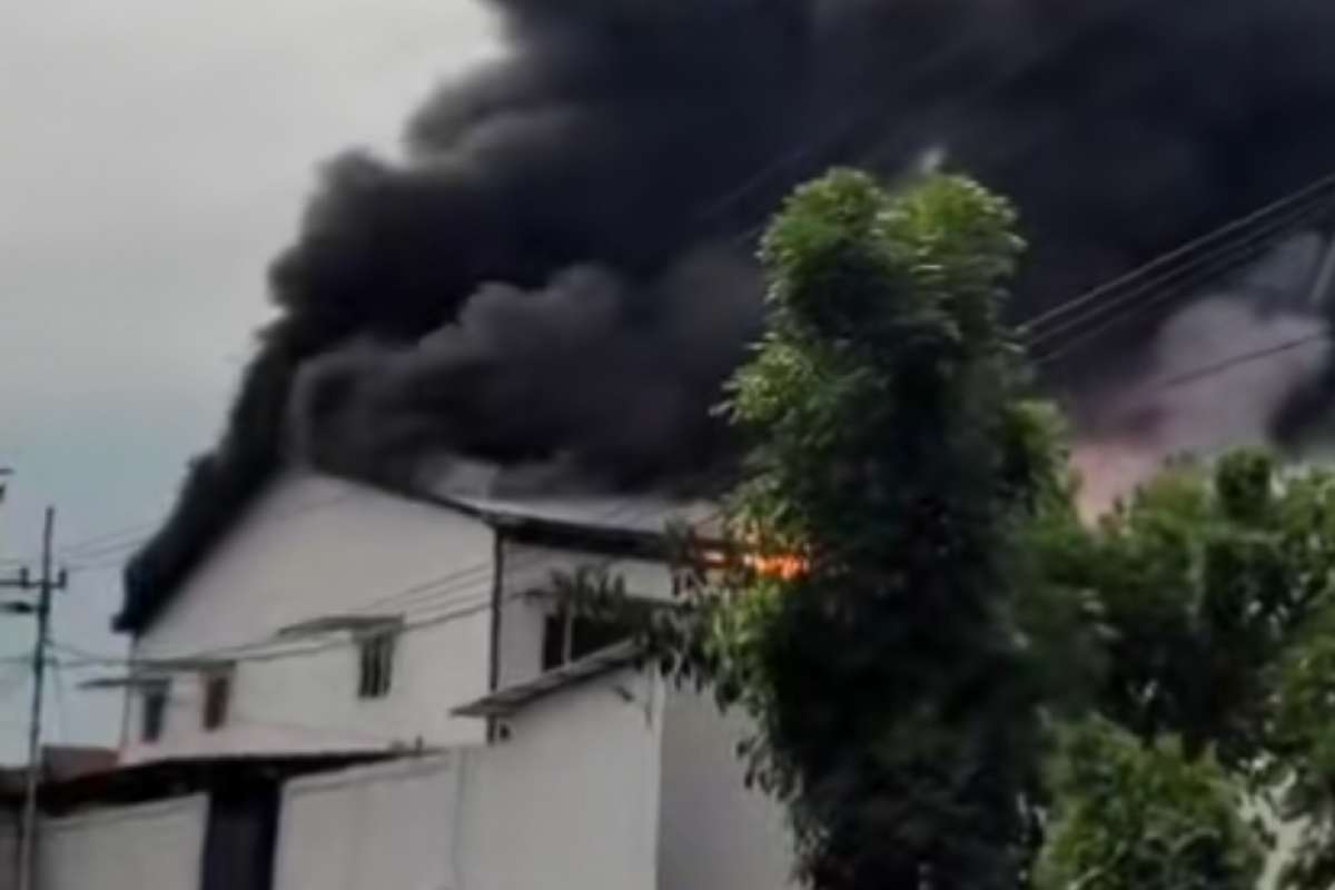 Tragedi di Jombang: Gudang Pabrik Boneka Plastik Ludes Dilalap Si Jago Merah, Kerugian Miliaran Rupiah Diduga Terjadi