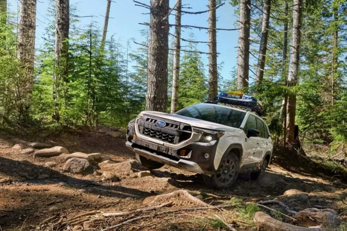 Subaru Kenalkan Wilderness Hybrid Gabungkan Tenaga Listrik dan Off-road
