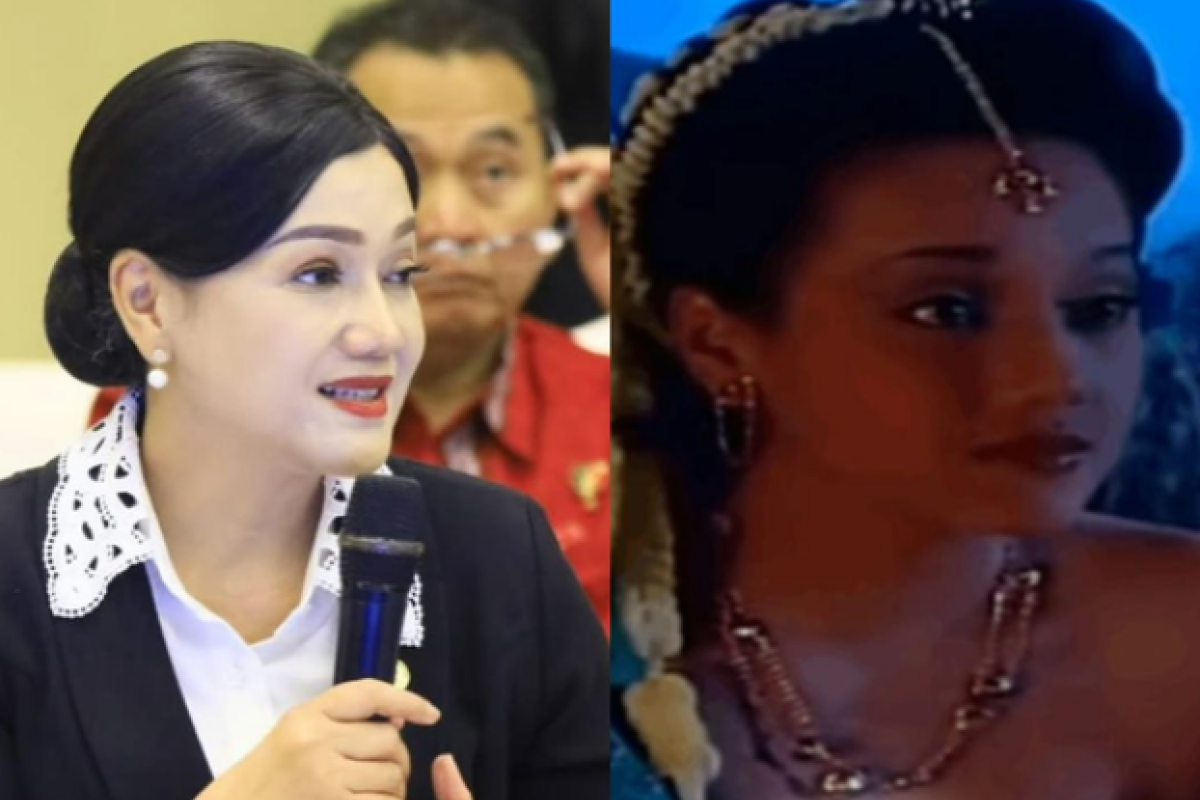 Profil Friderica Widyasari Dewi, dari Layar Kaca hingga Pucuk Kepemimpinan OJK