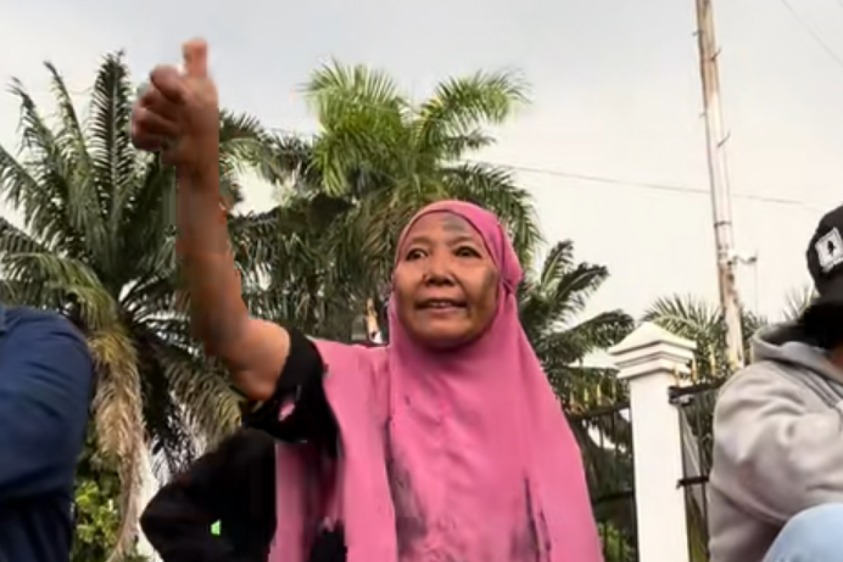 Sosok Ana Ibu Kerudung Pink Dinilai Tidak Layak Jadi Ikon Brave Pink Hero Green Usai Kepergok Hina Prabowo Subianto, Ancam Etnis dan Minta Anies Baswedan jadi Presiden