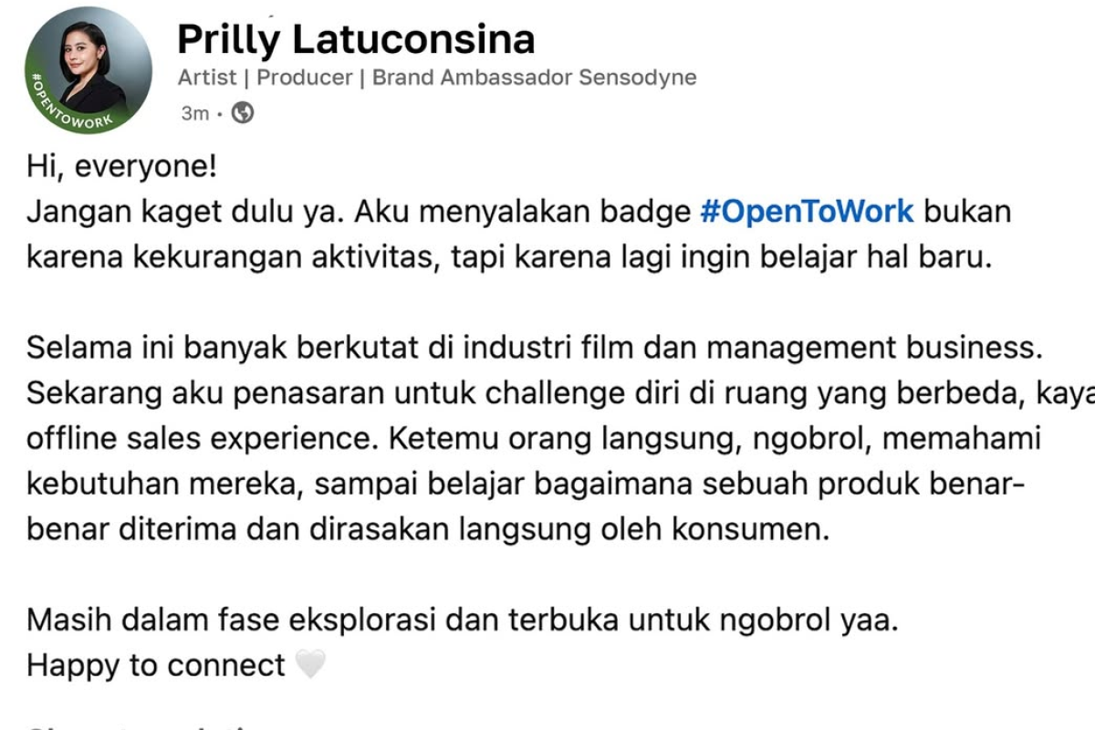 Apa Itu OpenToWork? Fasilitas di LinkedIn yang Viral Usai Prilly Latuconsina  Ikut Join Cari Lowongan Pekerjaan
