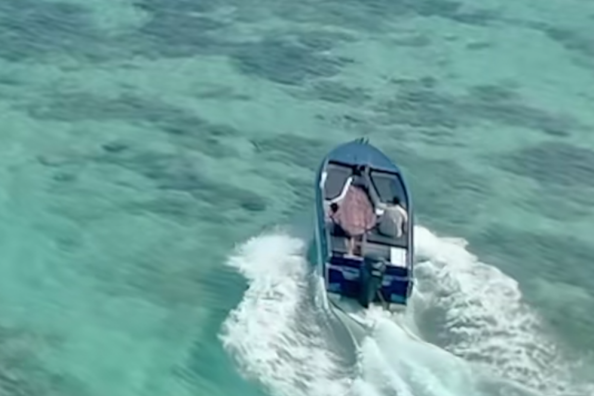 Apakah Film Malaysia Memori yang Tayang di Netflix Bakal Lanjut Season 2? 