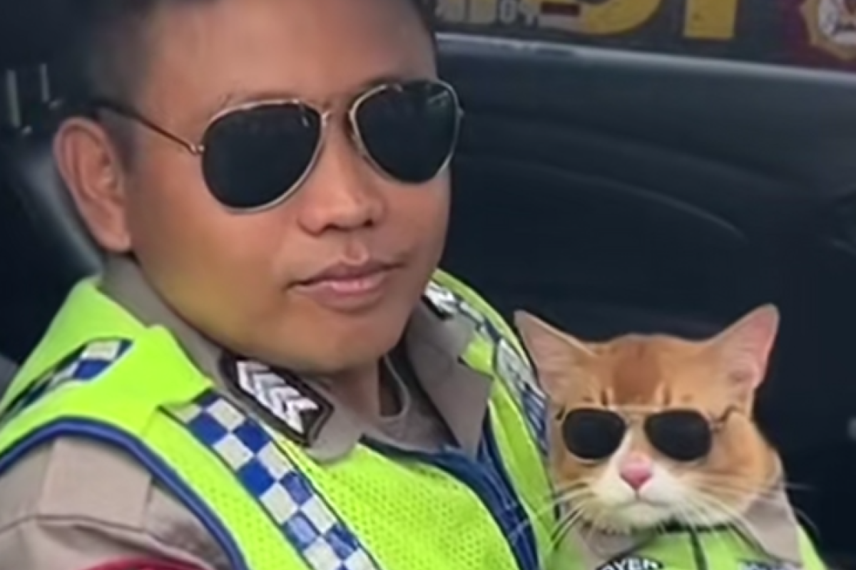 Polisi Kucing Oranye Ikut Patroli Arus Mudik di Bogor, Briptu Yunaz Berharap Bisa Bertemu Bobby Kertanegara