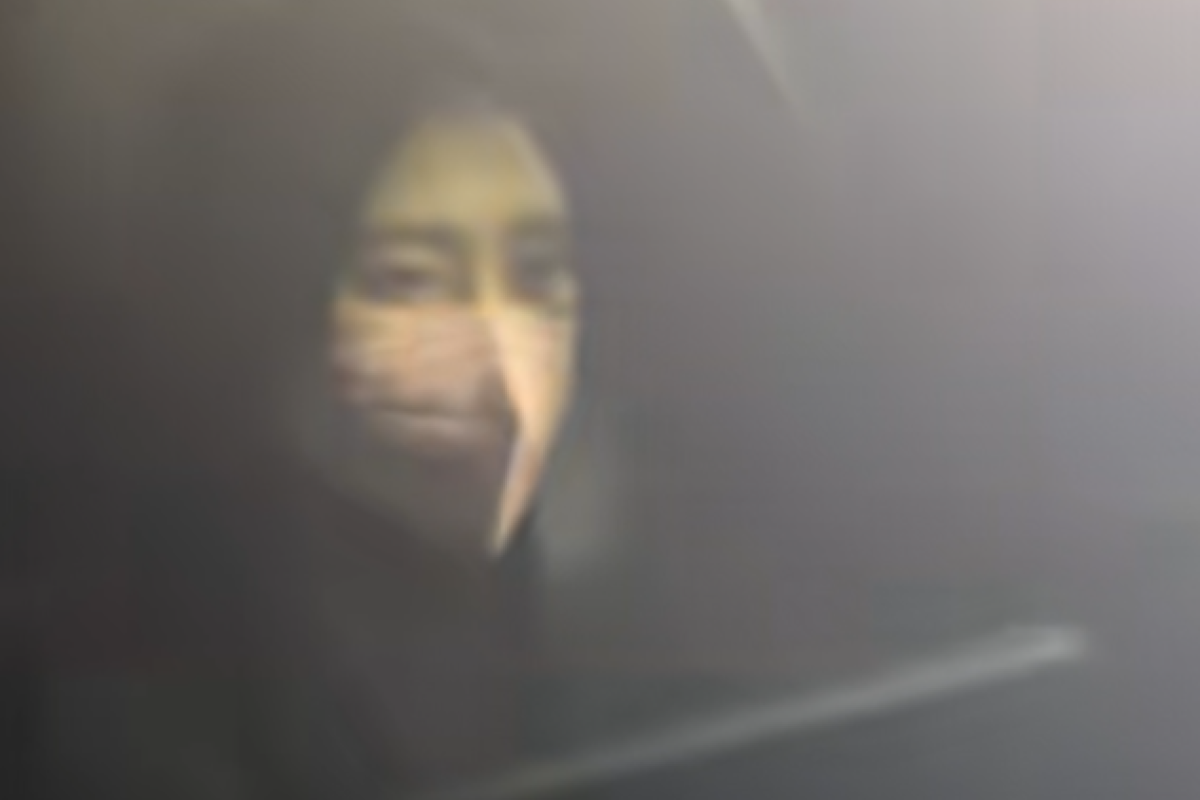 Inara Rusli Laporkan Insanul Fahmi ke Polisi atas Dugaan Penipuan, Skandal Nikah Siri yang Berujung Kegaduhan Sosial