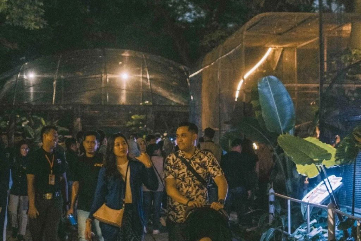 Mengunjungi Wisata Malam di Surabaya Night Zoo Cek Sekarang! Jam Buka