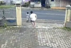 Anak Kecil Tertabrak Truk Box di Wonosobo, Rekaman CCTV Ungkap Kronologi Kejadian