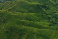 3 Kota Paling Hijau dan Bersih di Jawa Barat: Banjar, Tasikmalaya, dan Depok dalam Sorotan Keberlanjutan Lingkungan