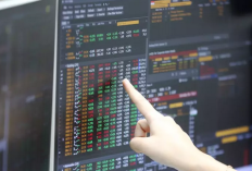 Peringatan MSCI Dinilai Jadi Dorongan Perbaikan Pasar, INPP Tegaskan Tak Ada Dampak Langsung