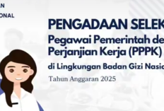 Kontroversi Rekrutmen PPPK Badan Gizi Nasional: Publik Pertanyakan Transparansi, Diduga Hanya untuk Orang Dalam