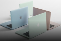 Apple Dikabarkan Siapkan MacBook Harga Lebih Terjangkau dengan Warna Lebih Variatif