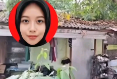 Harga Samsung Z Flip 5 Milik Tiara Angelina? Diduga Gaya Hidup Mewah Jadi Alasan di Balik Tragedi Mutilasi Alvi Maulana, Benarkah Mencapai Puluhan Juta?
