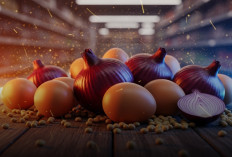 Harga Pangan Nasional Hari Ini 4 Februari 2026 Telur Bawang dan Kedelai Alami Penurunan
