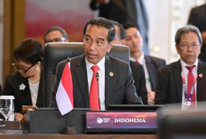 PROFIL Lengkap Wijianto Notomiharjo, Ayah Presiden Jokowi: Membangun Hidup dari Nol