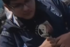 Syafiq Ridhan Ali Razan Anaknya Siapa? Inilah Biodata Pendaki yang Ditemukan Tewas di Gunung Slamet Usai 17 Hari Hilang, Bukan Orang Sembarangan?