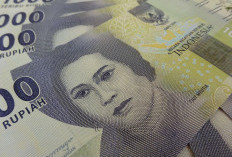 Gaji PPPK 2026 Diprediksi Naik 10 Persen, Tertinggi Tembus Rp8 Jutaan! Ini Rincian Lengkapnya