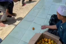Viral! Cara Unik Gus Bagikan Jeruk ke Santri, Digelinding hingga Ditendang Bak Bola – Netizen Geram hingga Bela Pesantren