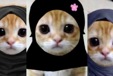 Kumpulan LINK Gambar PP Kucing Ramadhan 2024 Viral TikTok Download Link Full HD Lucu Menggemaskan