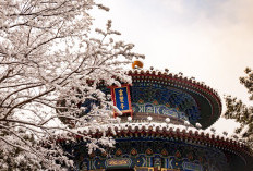 Prediksi Zodiak Tiongkok 2026: Siapa Shio Paling Beruntung dan Siapa yang Harus Kerja Keras? Simak Ramalan Lengkapnya!