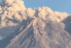 Gunung Semeru Kembali Bergemuruh: Awan Panas Meluncur 800 Meter, Status Naik ke Siaga – Warga Diminta Waspada!