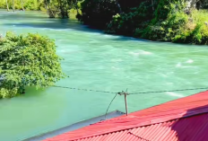 Mengapa Air Danau Singkarak Tetap Jernih Meski Sumatera Dilanda Banjir? Rahasia Alam yang Bikin Netizen Takjub