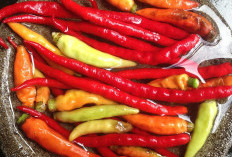 Harga Cabai Rawit Merah Tembus Rp100 Ribu per Kg, Bapanas Percepat Distribusi ke Jakarta