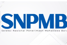 Cara Mengatasi Tahun Lulus Tidak Valid di Akun SNPMB 2026 Ini Penyebab dan Solusinya