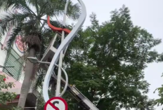 Modus Licik Pencuri Kabel PJU Surabaya: Menyamar Jadi Petugas, Rugikan Kota hingga Rp250 Juta