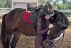 Aghnia Punjabi Disorot Usai Gunakan Video Vidi Aldiano untuk Endorse, Rekam Jejak Lama Ikut Terungkap