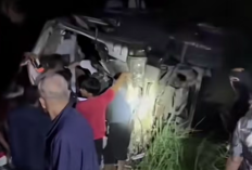 Sopir Mengantuk Picu Kecelakaan Isuzu Elf di Majalengka yang Tewaskan Enam Penumpang