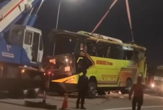 Apa Penyebab Kecelakaan Bus PO Cahaya Trans yang Terguling Hingga 16 Jiwa Melayang dalam Perjalanan Menuju Yogyakarta?