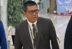 Muslim Ayub Anggota DPR dari Partai Nasdem dan Kontroversi Usulan Pemilu 10 Tahun: Viral, Dikritik Netizen, Hartanya Justru Termasuk Paling Rendah di DPR