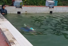 Air Kolam Renang Tak Pernah Diganti Apa Dampaknya Bagi Tubuh? Begini Kondisi Kolam Renang KONI Sario Manado yang 25 Tahun Tidak Pernah Dibersihkan