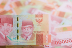 BPNT Februari 2026 Mulai Cair, Ini Cara Cek Status dan Jadwal Penyalurannya