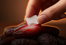 Awas! Dugaan Kurma Israel Dilabeli Ulang dan Disamarkan di Eropa Ditengah Kampanye Boikot Produk Zionis