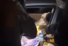 Pasutri Ditemukan Meninggal di Mobil Terkunci, Risiko Istirahat dengan AC Menyala Disorot