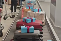 Hadiah Natal dari Langit Makassar: Bandara Sultan Hasanuddin Beri Kejutan Manis Berupa Boneka Kelinci kepada Setiap Penumpang