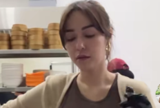 Nabilah O'Brien Mengaku Korban Pencurian, Kini Berstatus Tersangka di Bareskrim Polri