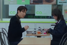 Lanjutan Drakor Nice to Not Meet You Episode 15–16 TAMAT Sub Indo di TVN bukan LK21: Puncak Emosional, Pengakuan Cinta, dan Pertaruhan Identitas