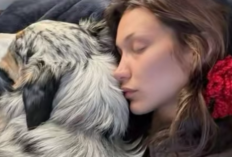 Bella Hadid Kembali Jalani Perawatan Intensif untuk Penyakit Lyme: Perjuangan Panjang Supermodel Dunia yang Tak Pernah Berhenti