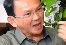 Podcast Ahok dan Denny Sumargo Dihapus YouTube, Bahas Stand-Up Pandji Pragiwaksono yang Kontroversial—Apa yang Sebenarnya Terjadi?