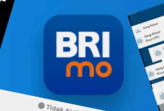 Bagaimana Cara Cek BRImo Wrapped 2025?