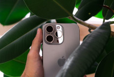 Inilah Bocoran spesifikasi iPhone 16 Series 2024 dan Harga di Indonesia: Terobosan Baru dari Apple yang Bikin Tergoda