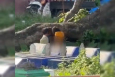 Viral Tiktok Video 3 Bocil Mesum di Kuburan Kecamatan Tallo, Terekam HP Pengendara, Warga Sebut Keracunan HP