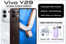 Baterai Jumbo dan Performa Seimbang untuk Pengguna Aktif! Inilah Spesifikasih Vivo Y29 yang Masuk 4 Rekomendasi HP Terbaik 2025 