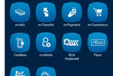 Bagaimana Cara Cek Wrapped BCA Mobile 2025?