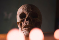 Misteri Foto X-Ray Chen Liu: Tengkorak Penuh Paku yang Gegerkan Internet