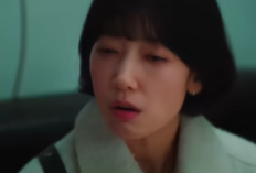 Undercover Miss Hong Episode 12 Sub Indo dan Spoiler Serta Link Bukan LK21 tapi di Netflix: Situasi Genting Usai Krisis IMF 1997